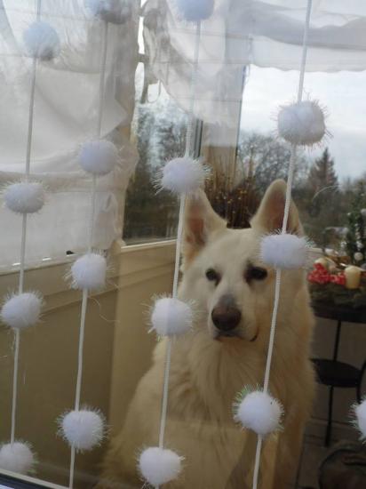 Balian (Cheyenne et Basti Boy)