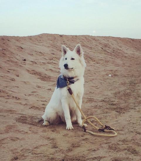 Loki (Dakota Sioux et Apache)